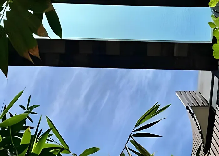 Jungle Guardian - Rooftop Pool & Club * Tulum